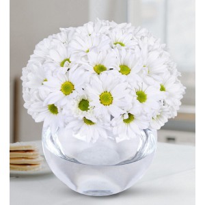 Cam Vazoda Papatyalar